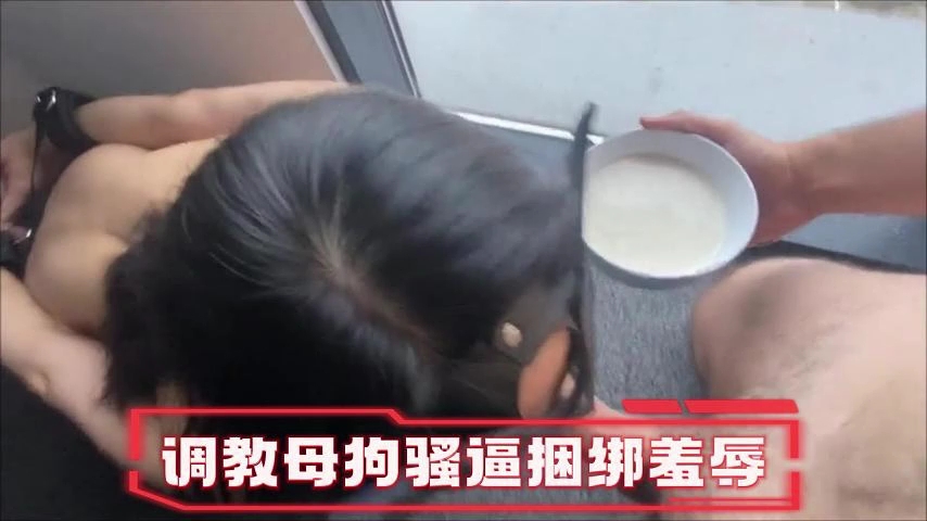 调教母狗、一边吃鸡一边喝豆浆