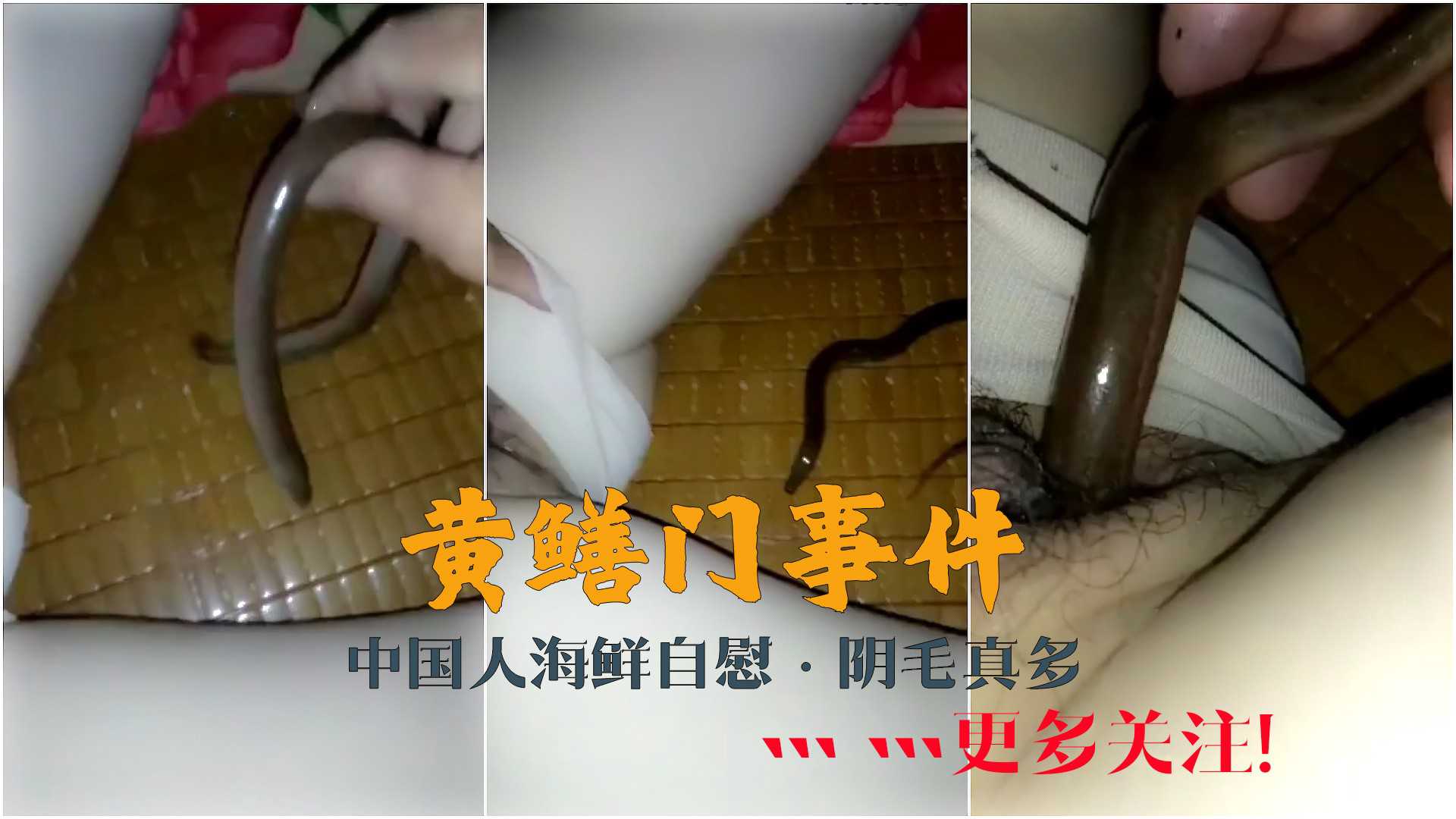 【国产少妇】黄鳝自慰视频！性感少妇魅力难挡