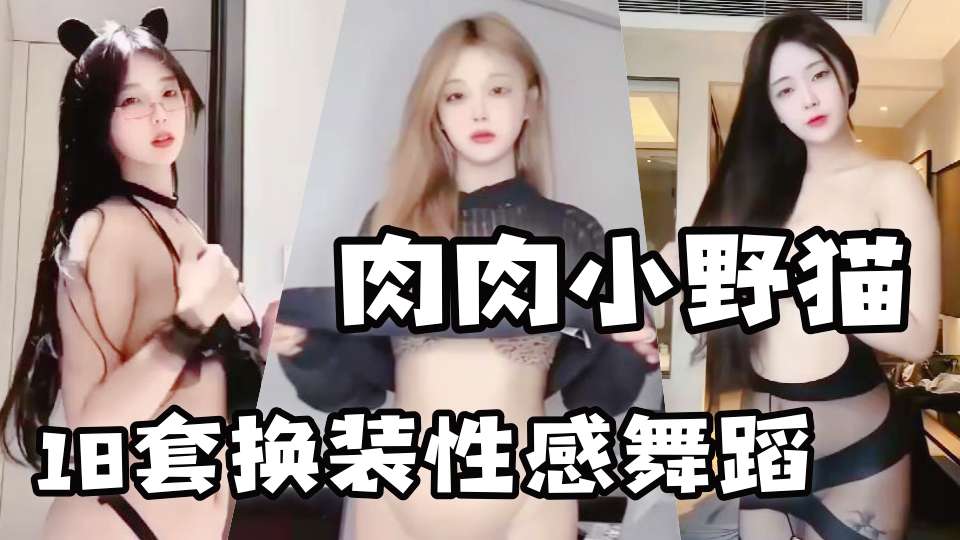 肉肉小野猫 大尺度直播合集 18套换装性感舞蹈 精彩不断